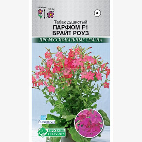 Табак Парфюм Брайт Розе F1/ Евросемена