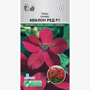 Табак сандер Авалон Ред F1/ Евросемена