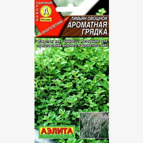 Тимьян Ароматная грядка Аэлита