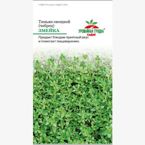 Тимьян Змейка/ Седек