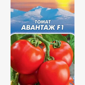 Томат АВАНТАЖ 5 шт/ Евросемена