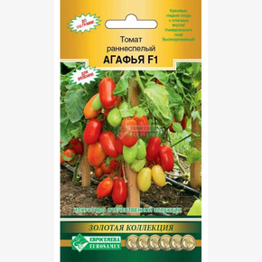 Томат Агафья F1/ Евросемена