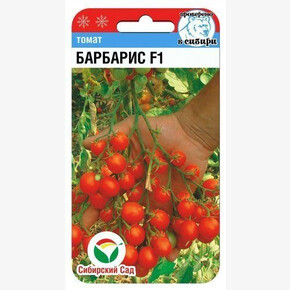 Томат Барбарис 15шт/ Сибсад