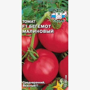 Томат Бегемот Малиновый/ Седек