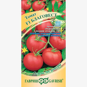 Томат Благовест 12шт/ Гавриш