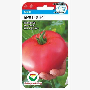 Томат Брат-2 F1 15шт Сиб Сад