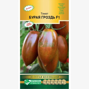 Томат БУРАЯ ГРОЗДЬ 5 шт/ Евросемена