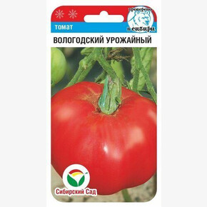 Томат Вологодский урожайный 20шт Сиб сад