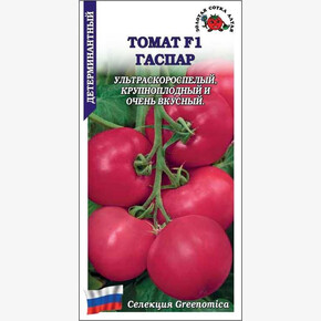 Томат Гаспар /Сотка/ 5 шт