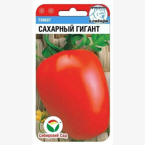 Томат гигант 20шт Сиб сад