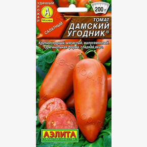 Томат Дамский угодник/ Аэлита