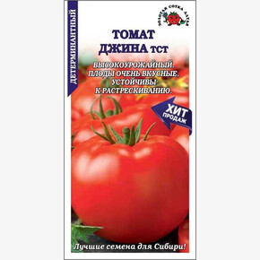 Томат Джина/ Сотка
