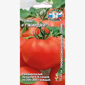Томат Жирдяй /Седек