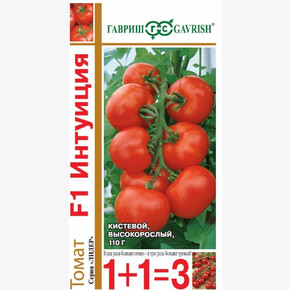 Томат Интуиция/ Гавриш 1+1