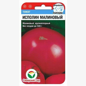 Томат Исполин Малиновый 20шт/ Сибсад