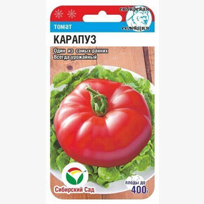 Томат Карапуз 20шт Сиб Сад