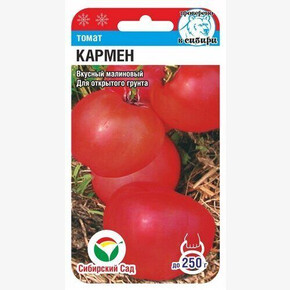 Томат Кармен / Сибсад №2