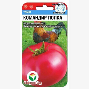 Томат Командир полка 20шт Сиб Сад