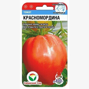 Томат Красномордина 20шт/ Сибсад