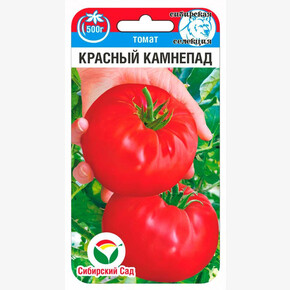 Томат Красный камнепад 20шт/ Сибсад