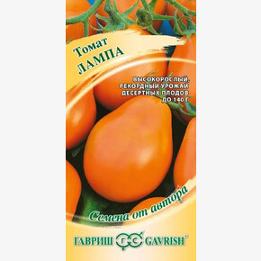 Томат Лампа /Гавриш