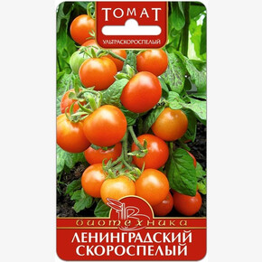 Томат Ленинградский скороспелый / Биотехника
