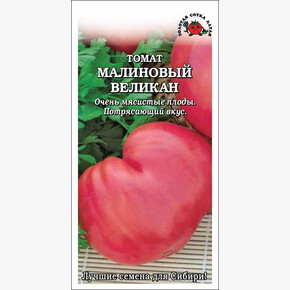Томат Малиновый Великан/ Сотка