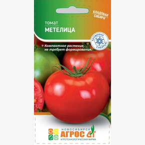 томат Метелица