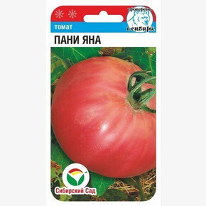 Томат Пани Яна / Сибсад