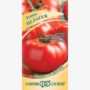 Томат Пелагея /Гавриш