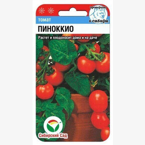 Томат Пиноккио 20шт Сиб сад