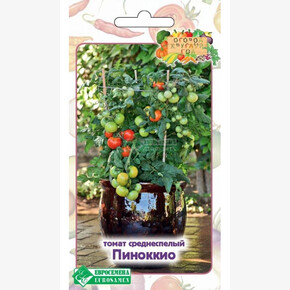 Томат Пиноккио/ Евросемена