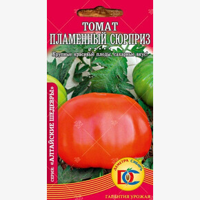 томат Пламенный сюрприз крупноплод /15 шт Дем Сиб/