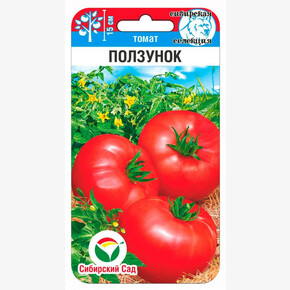 Томат Ползунок 20шт Сиб Сад