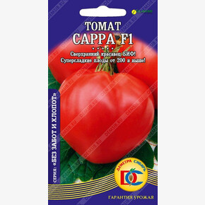 томат Сарра F1 /5 шт ДемСиб/ Clause Франция