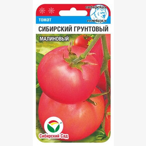 Томат Сибирский Грунтовый Малиновый/ Сибсад