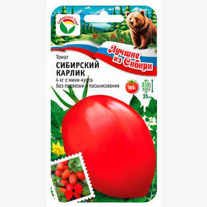 Томат Сибирский карлик/ Сибсад