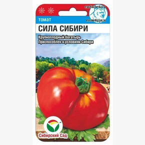 Томат Сила Сибири/ Сибсад