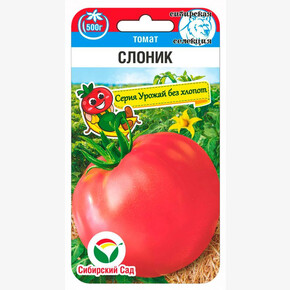 Томат Слоник 20шт Сиб Сад