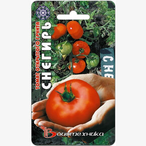 Томат Снегирь / Биотехника