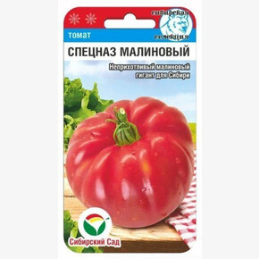 Томат Спецназ Малиновый/ Сибсад
