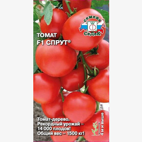 Томат Спрут /Седек/цп