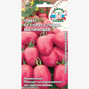 Томат Спрут Сливка Малиновая/ Седек