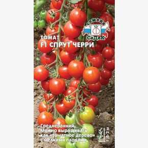 Томат Спрут черри /Седек/цп