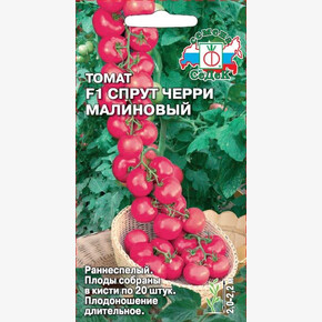 Томат Спрут Черри Малиновый/ Седек