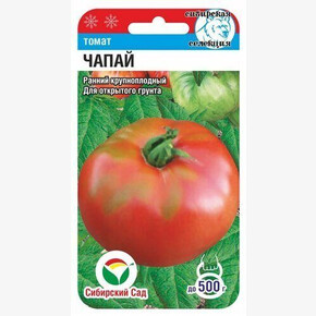 Томат Чапай / Сибсад
