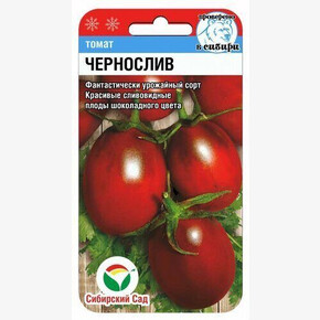Томат Чернослив 20шт Сиб Сад