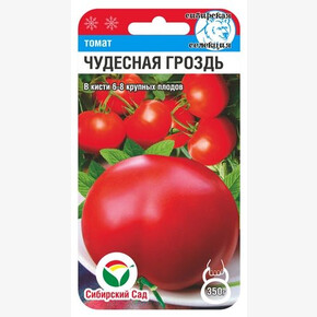 Томат Чудесная гроздь /Сибсад/
