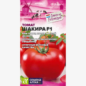 Томат Шакира F1/Сем Алт/цп 5 шт. Seminis Голландские Семена