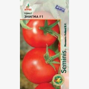 Томат Энигма /Агрос